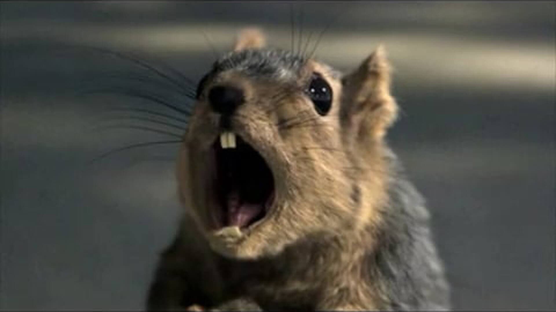 Scream