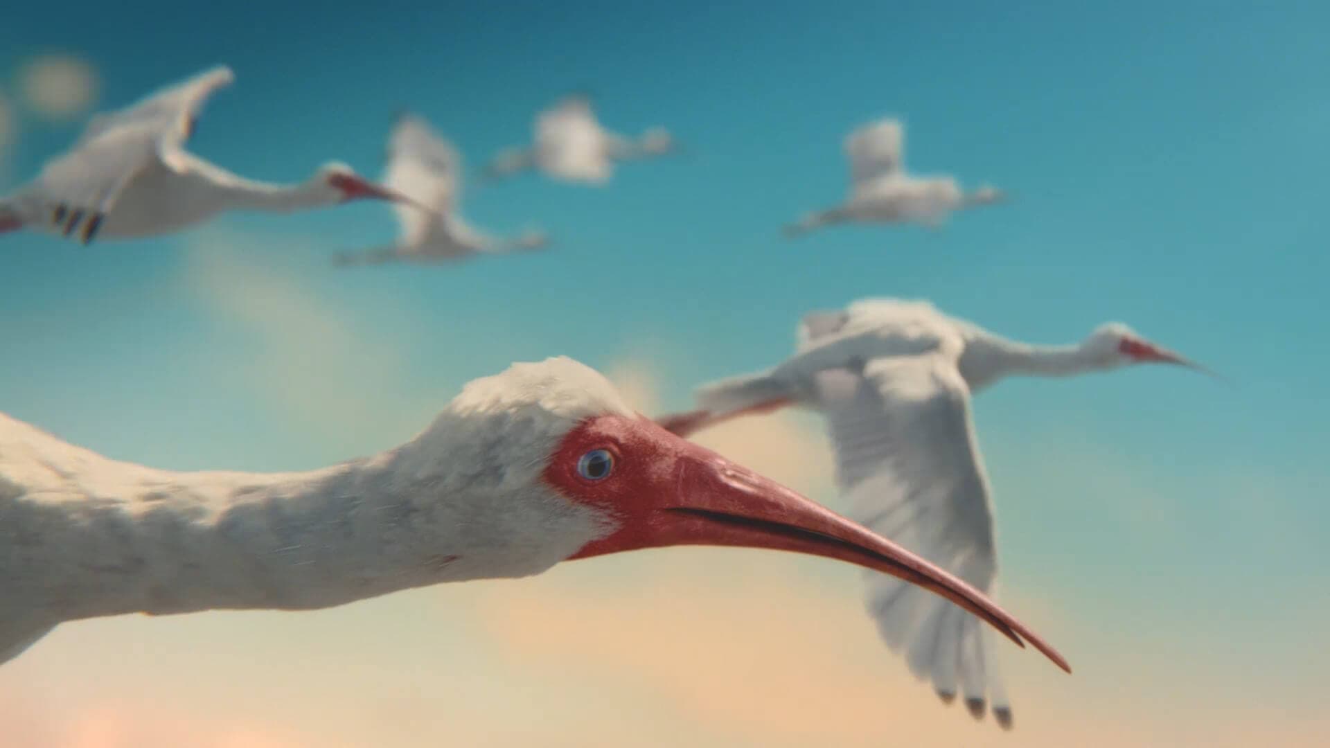 Cranes