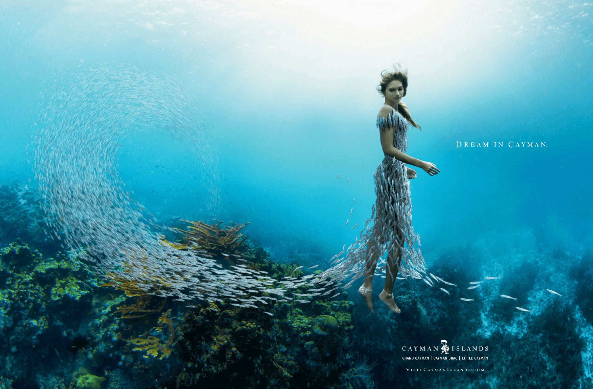 Fish Dress