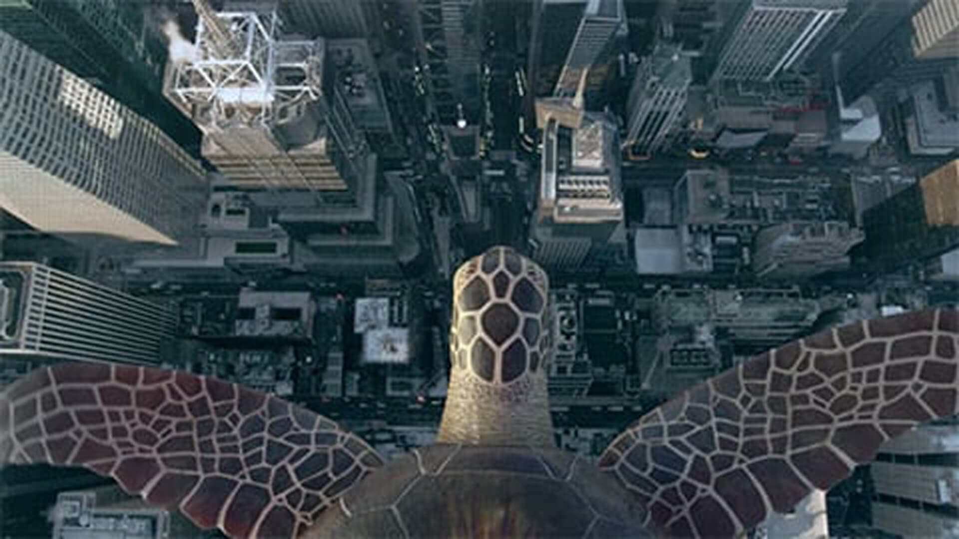 Flying Turtle