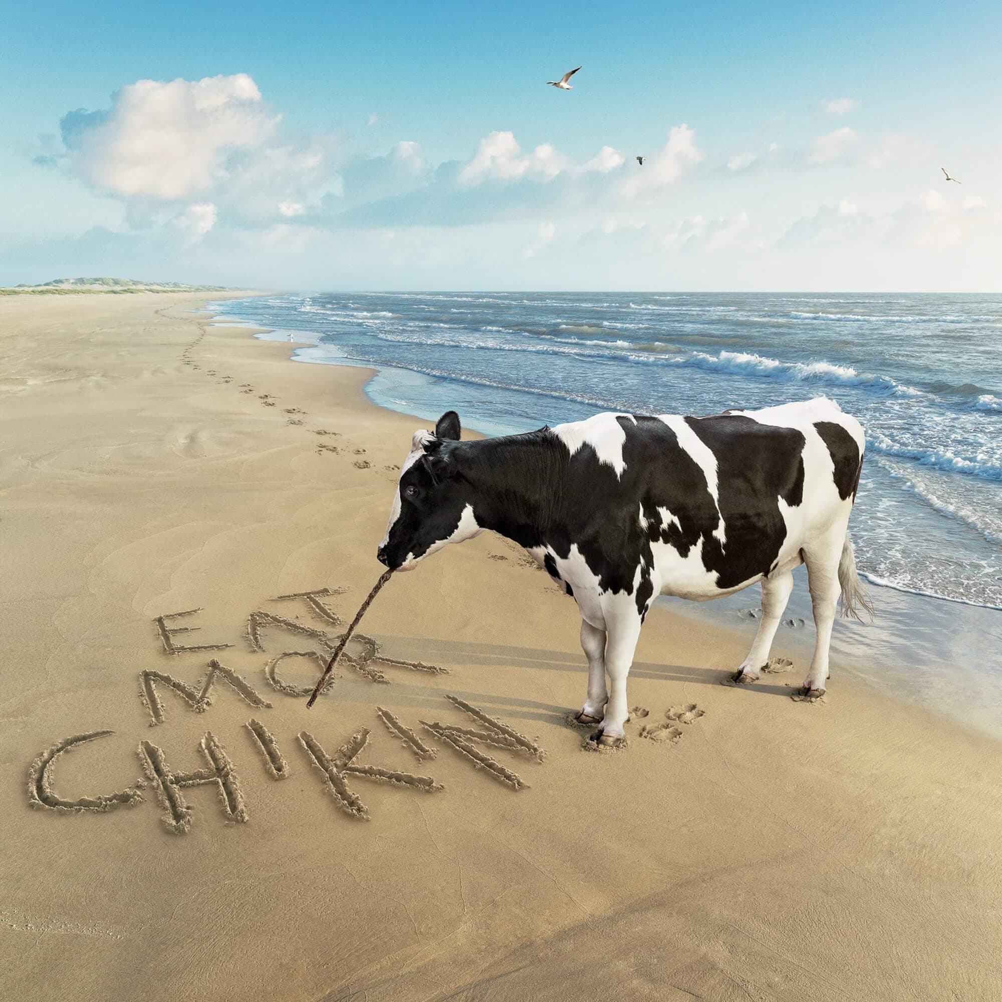 Beach Eat Mor Chikin