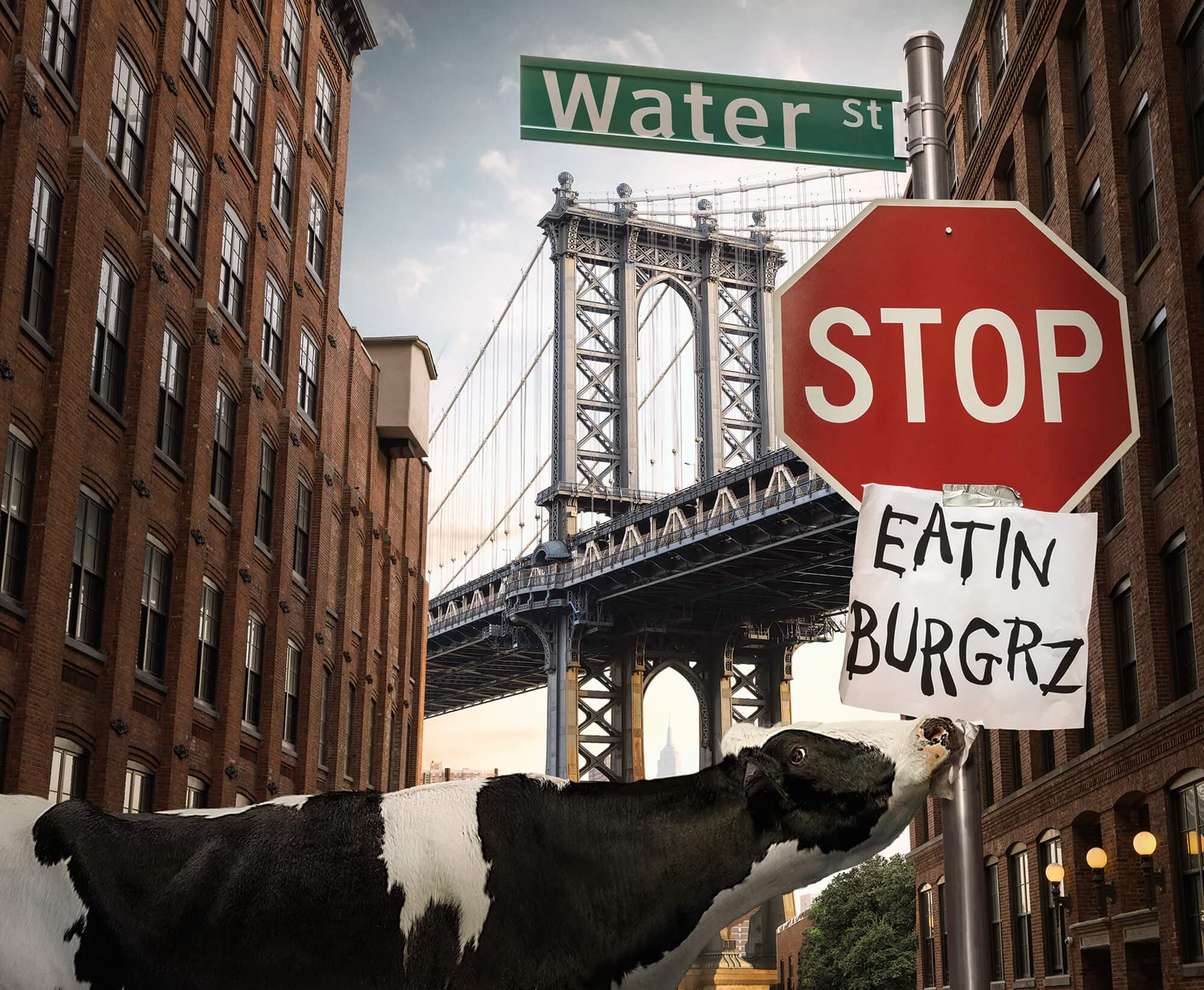 Eatin Burgrz