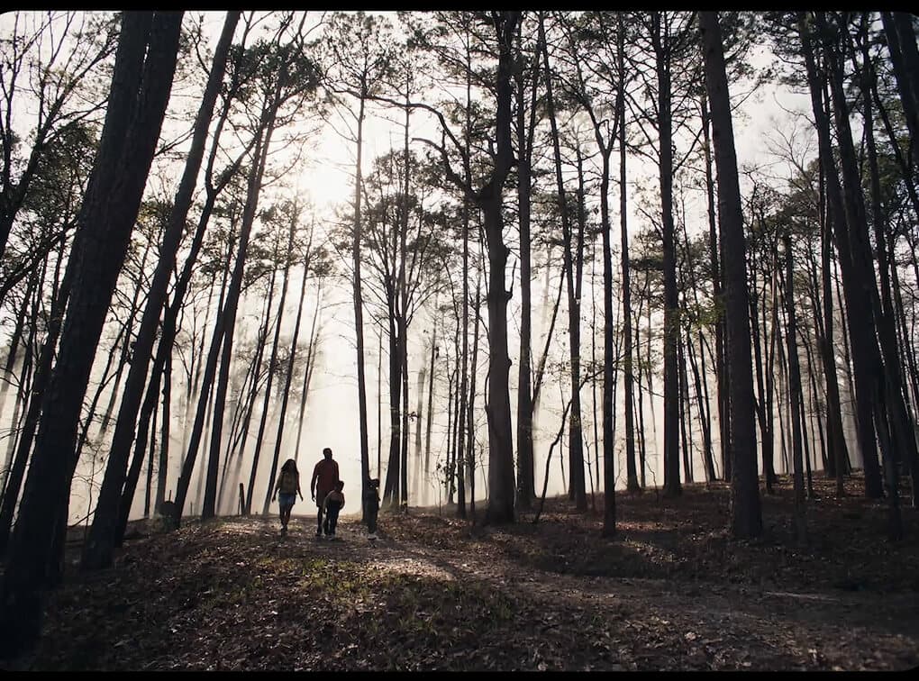 Video Art Hike keyframe