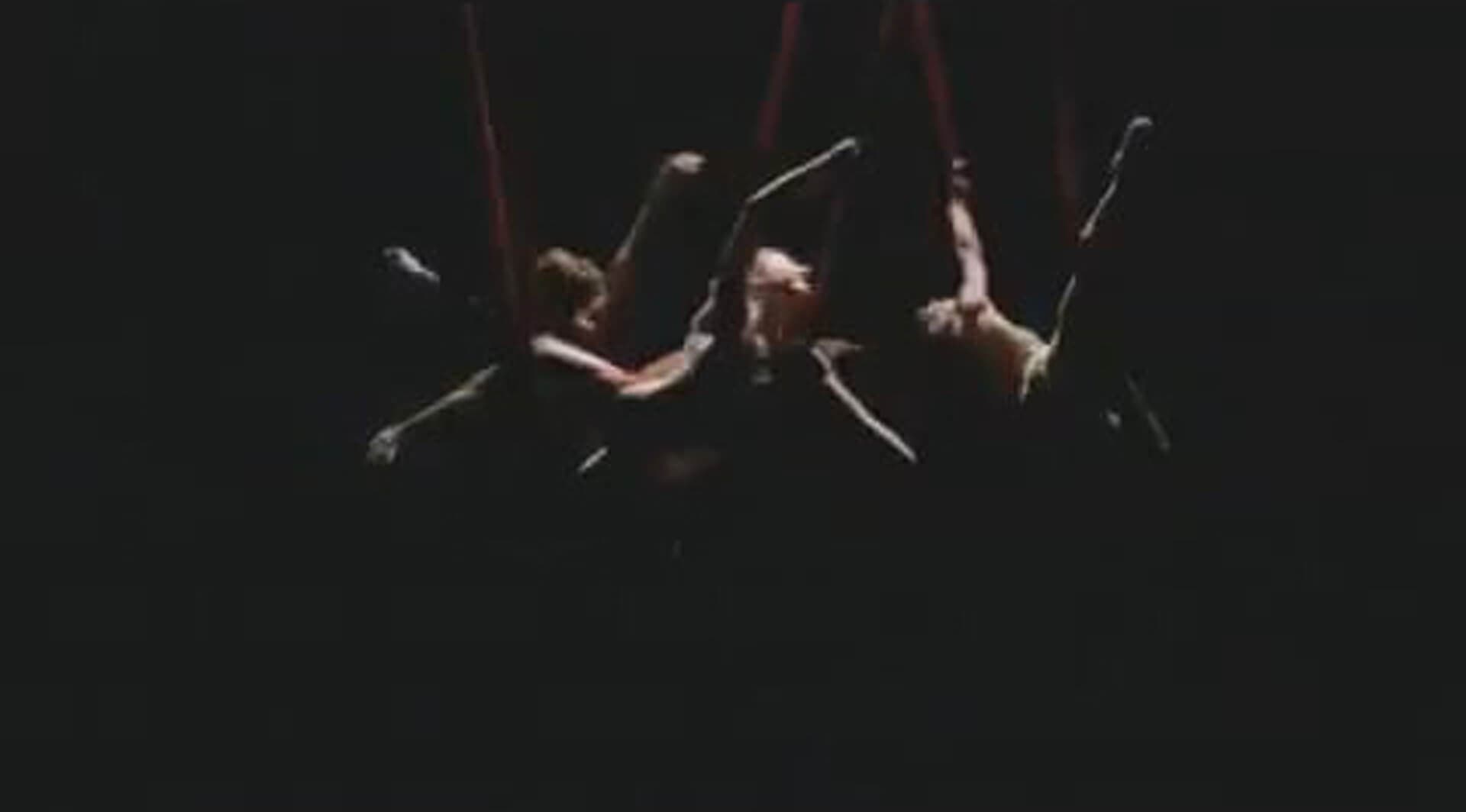 Fruit of the Loom Video Cirque