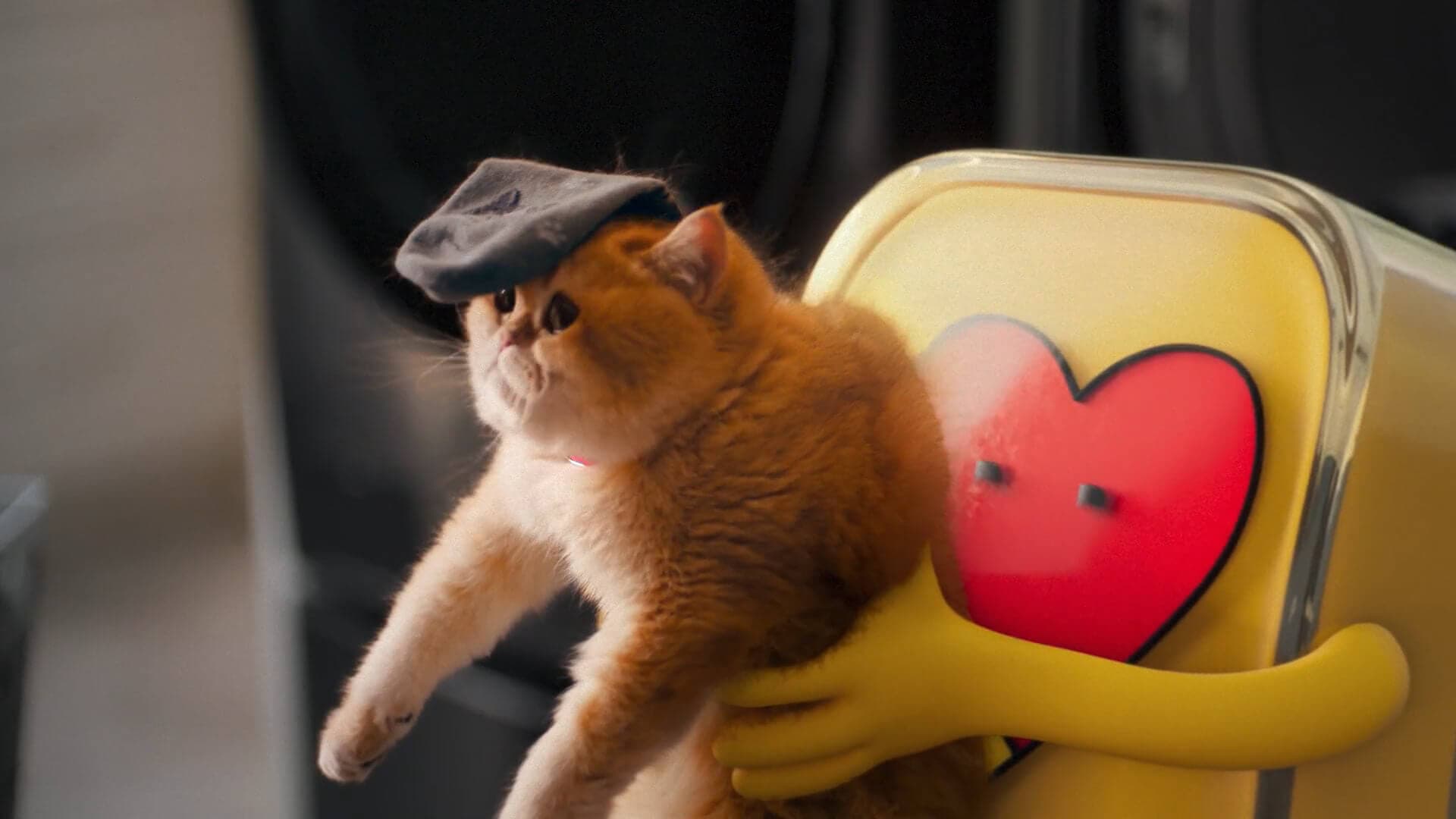 Video Kitty Save keyframe