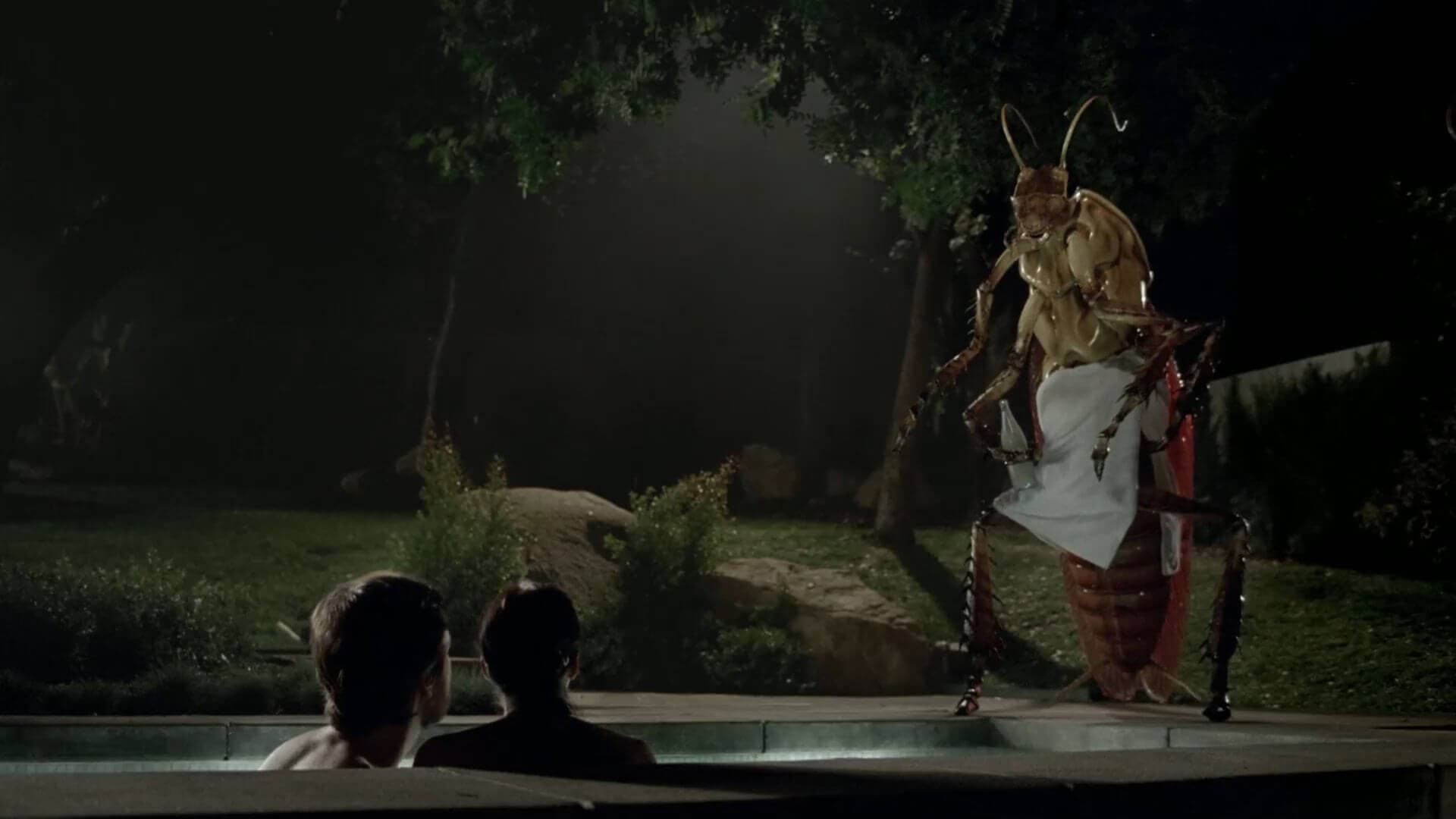 Orkin Video Hot Tub