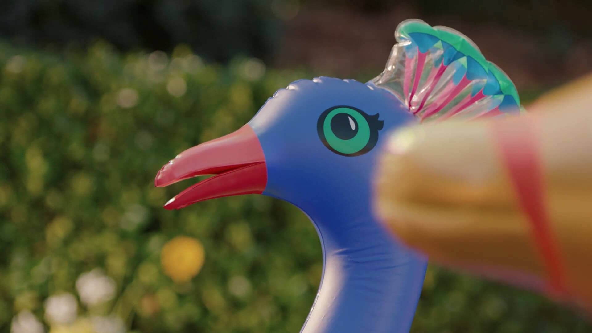 Orkin Video Pool Floaties