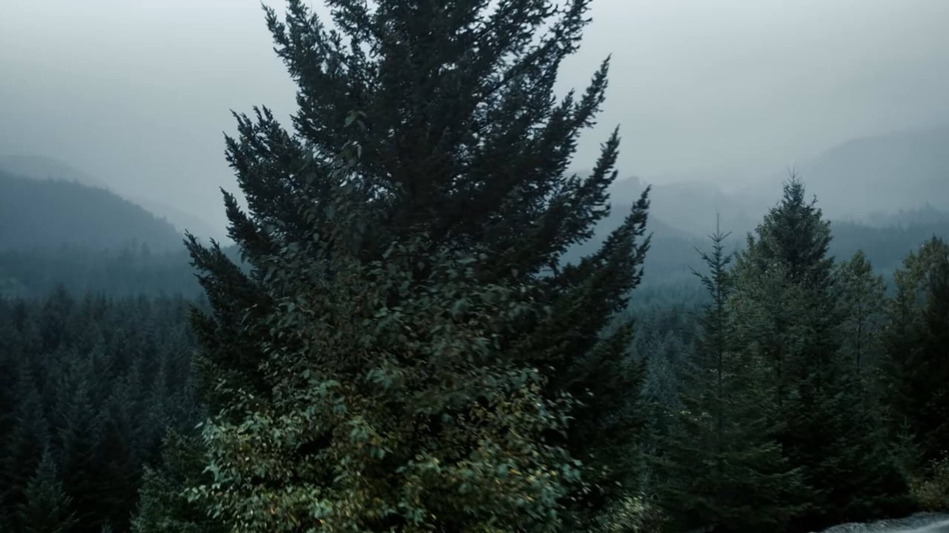 Video Make Work Play keyframe