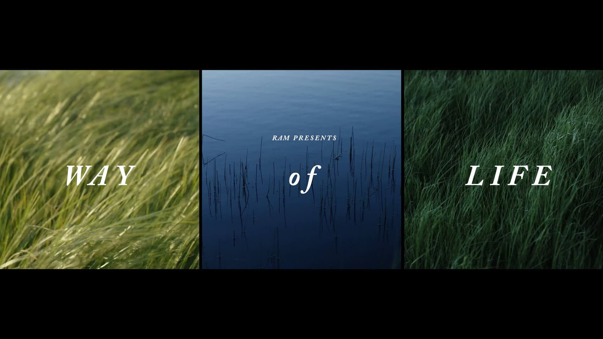 Video Way Of Life keyframe