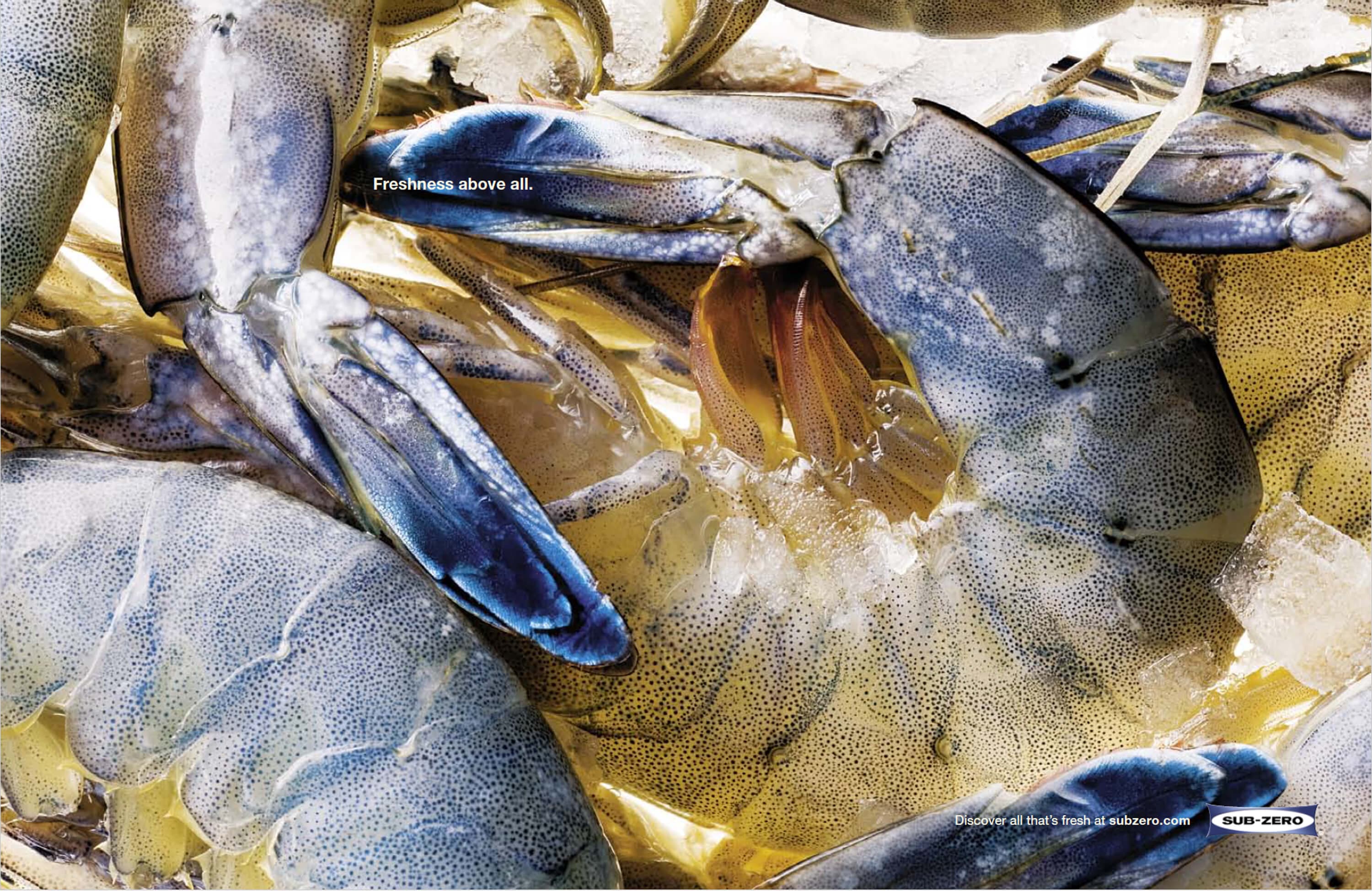 Sub-Zero Print Prawns