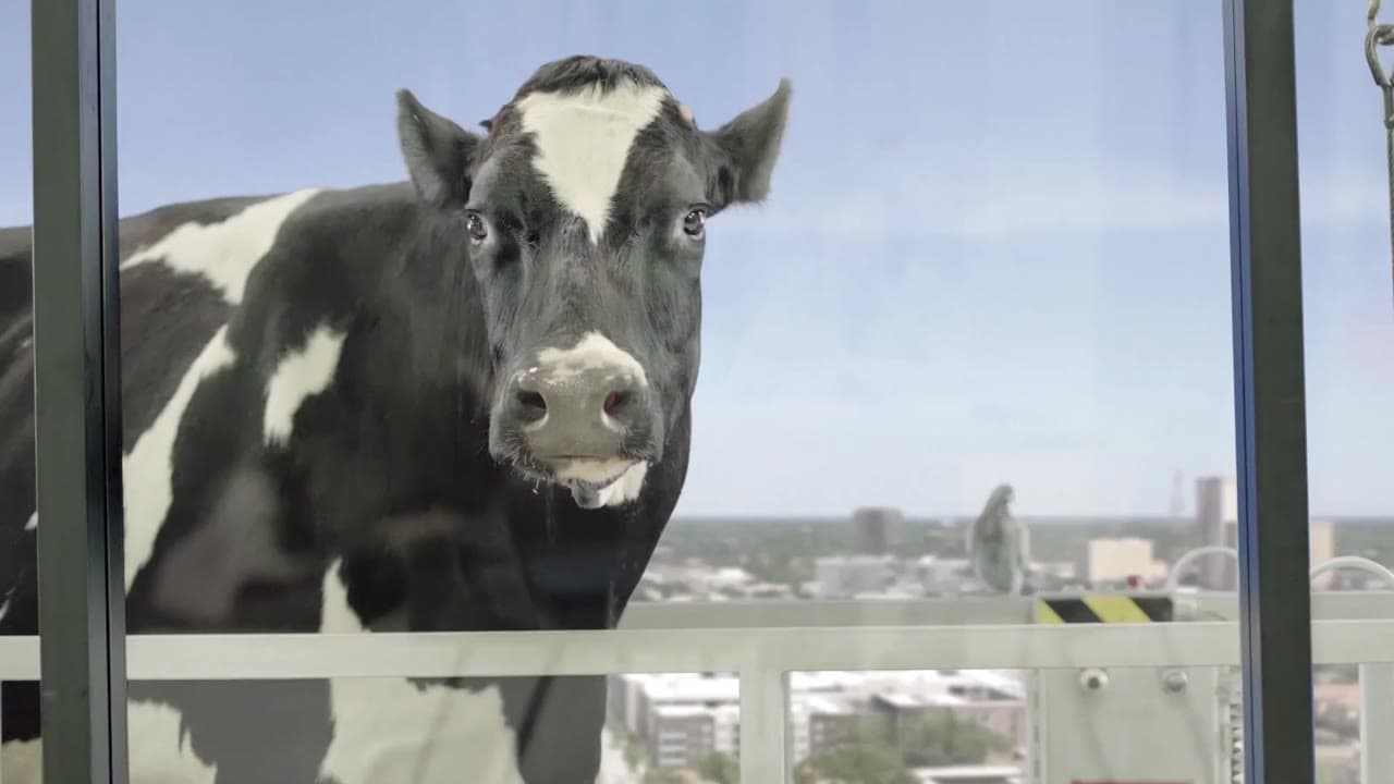 Chick-fil-A “Betrayal” brand loop