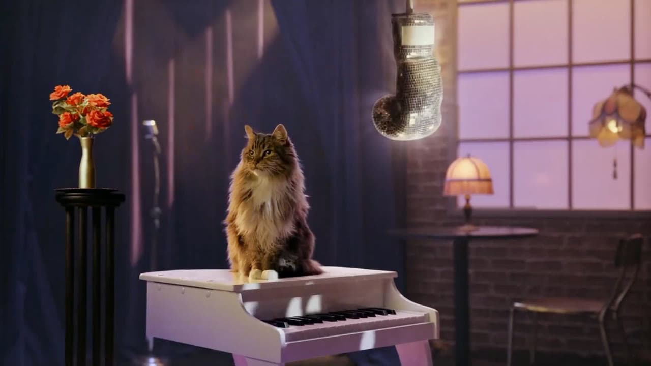 World’s Best Cat Litter “Poop Fighter” brand loop