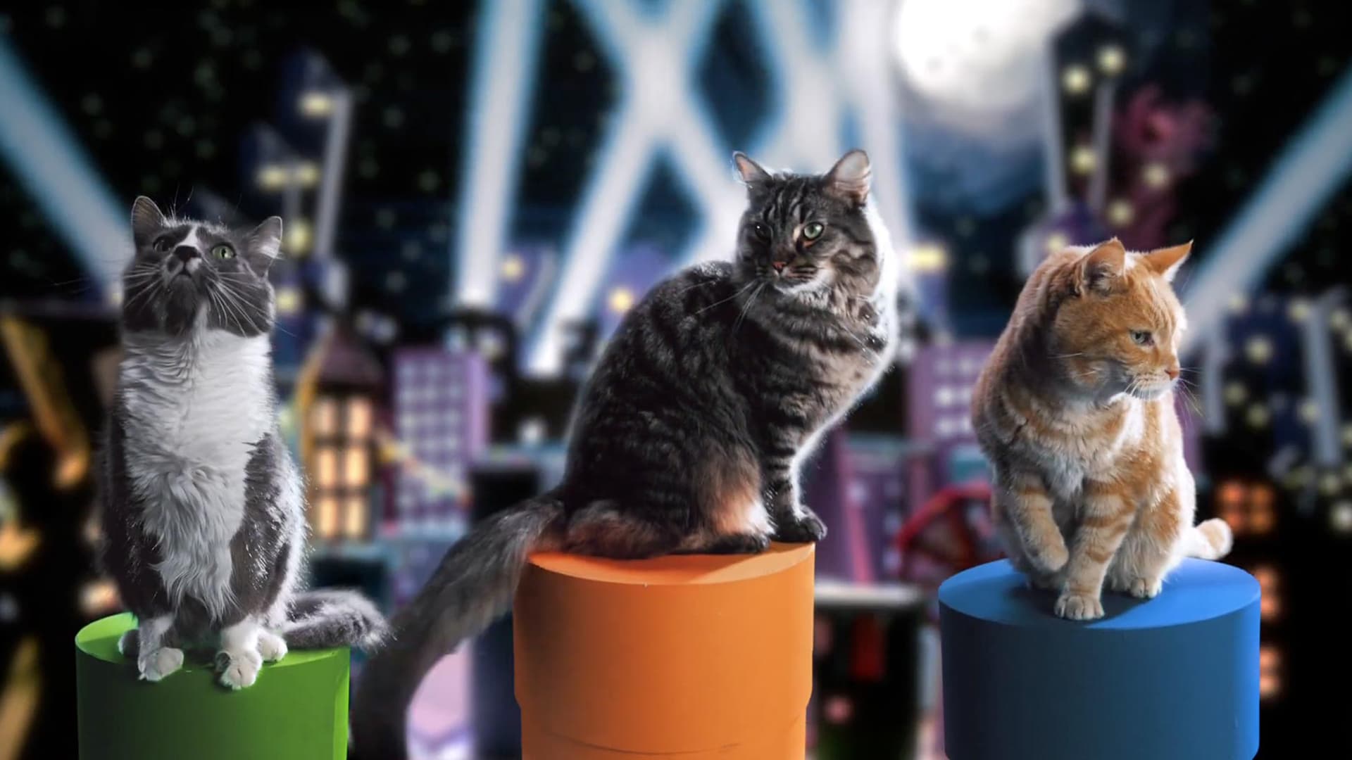 Three cats perched on green, orange, and blue pedestals on a sparkling, city-themed stage set